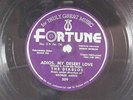 The Diablos 78 ADIOS MY DESERT LOVE /AN OLD FASHIONED GIRL   Fortune VG++ r&b