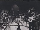 LITTLE FEAT - American Cutie - Vinyl Blues