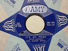The Guess Who ? - His Girl / It's my pride - AMY # 975