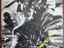 LP : STEPHAN EICHER - LES CHANSONS BLEUES
