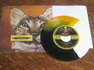 Greenhornes - Saying Goodbye 7