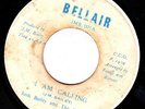 WAILERS LEE PERRY 