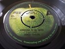 The Beatles APPLE RECORDS, RARE JAMES TAYLOR 1970 UK APPLE DEMO VINYL 45