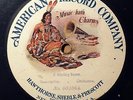 AMERICAN RECORD COMPANY ORCHESTRA Hunting Scene Descriptive 031064 Blue Disc 78