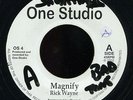 Rick Wayne - Magnify UK orig 7