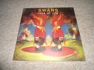 Swans LP love of life
