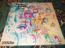 Pucho & The Latin Soul Brothers-Super Freak FUNK/LATIN/BREAKS/ZANZEE RECORDS