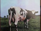 PINK FLOYD: ATOM HEART MOTHER - 200 GR. ANADISC MOFI MFSL 1-202 JAPAN NM/NM
