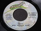 Queen   Keep Yourself Alive / Son and Daughter   Elektra stock 45 7