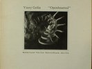 Vinny Golia-Openhearted-Nine Winds 0102-NELS CLINE WILCO