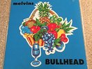 Melvins Bullhead LP BLACK VINYL PROMO Big Business Nirvana Harvey Milk Mudhoney