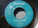 60s OHIO GARAGE PUNK--PANICKS--YOU'RE MY BABY / LOTS OF PRETTY GIRLS--DUPREE 200