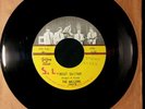 THE WAILERS 45  *BEAT GUITAR/DRIFTWOOD* NORTHWEST 60's GARAGE LEGENDS