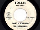 Garage Sunshine Pop 45 RAGAMUFFINS Don't Be Gone Long/Fun We Had Tollie WLP HEAR