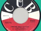 JIMMY WILLIAMS C'mon Baby (What's Your Name) 45rpm Cub 1959 R&B rocker