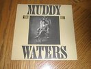 MUDDY WATERS / KING BEE   Original 1981 Blue Sky U.S. Album   NEAR MINT