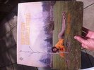 Mega rare Canada soul lp Trevor dandy don't cry little tree Zaza sound holygrail