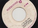 '67 MERRITONE ROCKSTEADY 45 HOPETON LEWIS A DE PON DEM/DON'T CRY ?