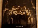White Noise  -  Different