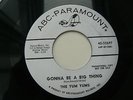 THE YUM YUMS - GONNA BE A BIG THING