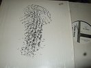 PHILIP GLASS : MUSIC IN SIMILAR MOTION AND MUSIC IN FIFTHS LP 1973 CHATHAM 1003