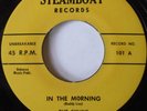 THE SWANS   IN THE MORNING rare DOO WOP on STEAMBOAT clean NM- re