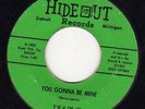 THE 4 OF US YOU GONNA BE MINE '66 HIDEOUT RECORDS DETROIT GARAGE-SURF-PUNK 45