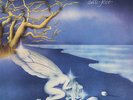 LOCANDA DELLE FATE Forse le lucciole non si amano liu' lim.ed. LP italian prog