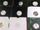 jungle records @rare@ look read description