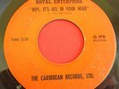 Garage-Psych-Fuzz 45 ROYAL ENTERPRISE Boy, It's All In Your Head CARIBBEAN VG