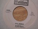 PETER SULLY-Evil Woman 45 superb 60s UK PSYCH GEM Rubble style TRIPPY SCARCE