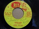 ANSEL COLLINS Green Tree HIT Reggae Funk Drum Breaks 45 HEAR