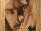 CRANIUM'S Roy Harper BULLINAMINGVASE orig Uk Lp NM Andy Roberts