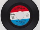 THE MONTANAS - I'm Gonna Change/A Step In the Right Direction