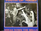 YOUTH OF TODAY LP Break down the walls 1986 Wishingwell hardcore punk original