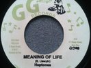 MEANING OF LIFE-Leroy Sibbles & the HEPTONES?Rare 70's RubADubVoc-7