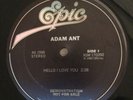 Adam Ant Hello I Love You 12