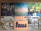 Oasis 12 inch 12