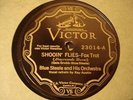 JAZZ BLUE STEELE ORCH Shooin' Flies/All Muggled Up VICTOR 23014