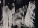 Yo La Tengo - President Yo La Tengo/New Wave Hot Dogs, 2 LPs, US 1996 on Matador