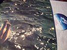 ROEDELIUS : DURCH DIE WÜSTE LP 1978 SKY 014 GERMANY