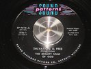 MIGHTY SONS OF GOD salvation is free SOUND PATTERNS detroit BLACK GOSPEL soul 45