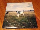 Pink Floyd DARK SIDE OF THE MOO Lp  Screaming Abdabs N MINT