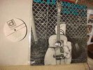 Big Joe Williams LP on Delmark '9 string guitar blues'