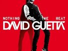 David Guetta - Nothing But The Beat 2 x Vinyl LP