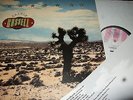 CALVIN RUSSELL : SOLDIER LP 1992 NEW ROSE FRANCE