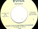 THE FOUR VOICES - YOUR LOVE IS GETTING STRONGER - VOICE - NORTHERN SOUL
