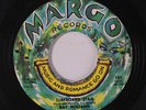 RAY HOLLAND: Surfboard Stag / My Summer Baby 45 rare Oldies