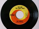 THE HONEYS CAPITOL 45 THE ONE YOU CAN'T HAVE BRIAN WILSON SURF  BEACH BOYS 