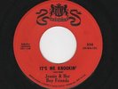 '59 Classic DooWops JEANIE/ BOY FRIENDS It's Me Knockin'/Baby WARWICK VG++ HEAR